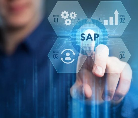 ZeOpto SAP Consulting